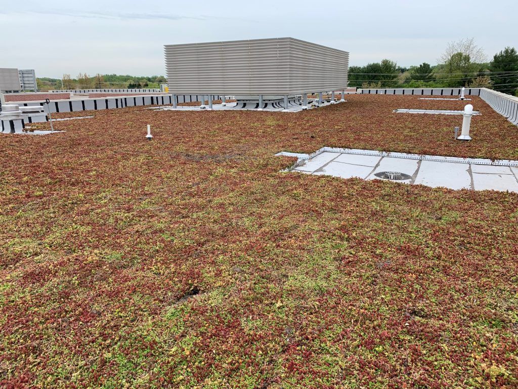 Green roof with reddish-brown vegetation on a flat building, with vents and a covered structure in the background.