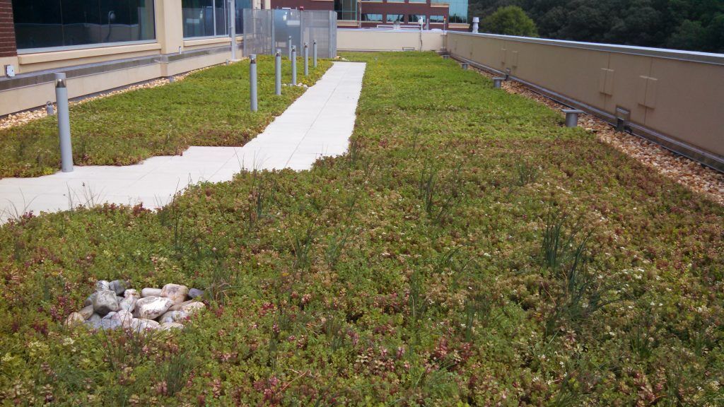 Rooftop garden with green plants and a white walkway, bordered by building walls and equipment.