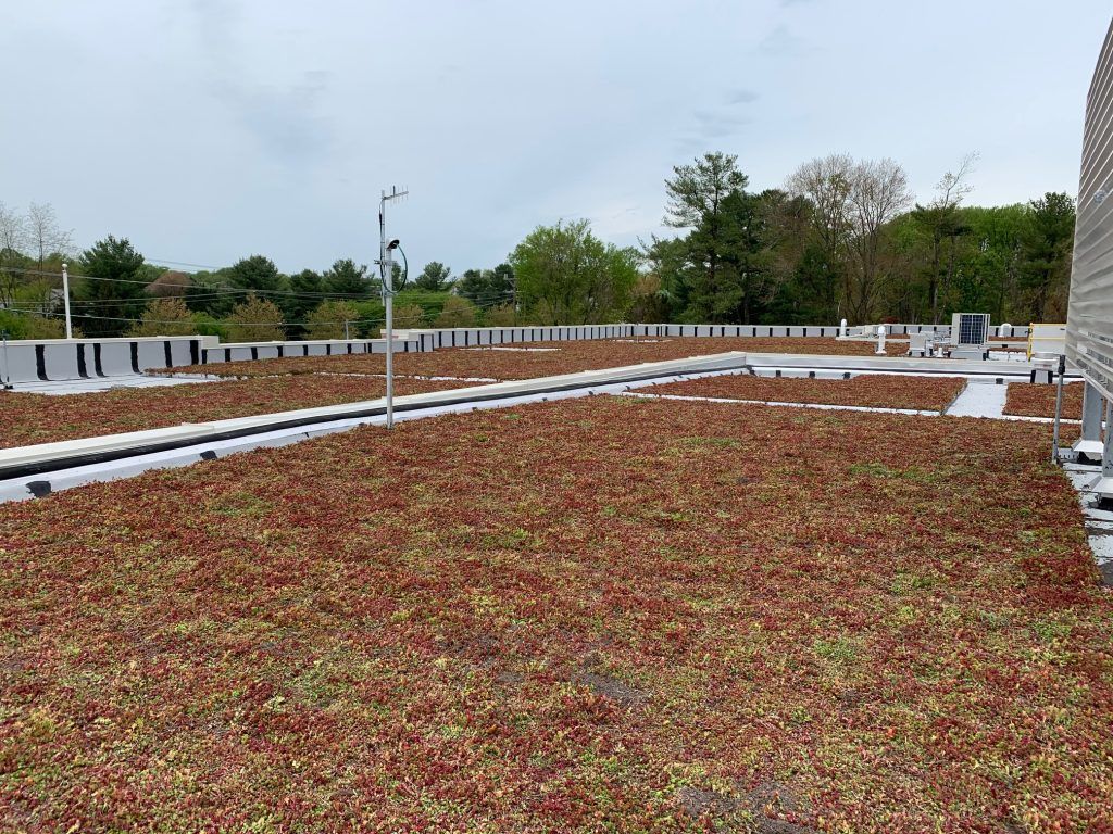 Rooftop garden with reddish-brown vegetation, white borders, and a cloudy sky.