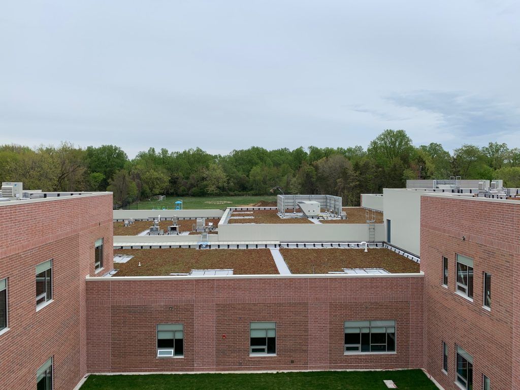 Brick buildings with green roofs, a grassy area, and trees under a cloudy sky.