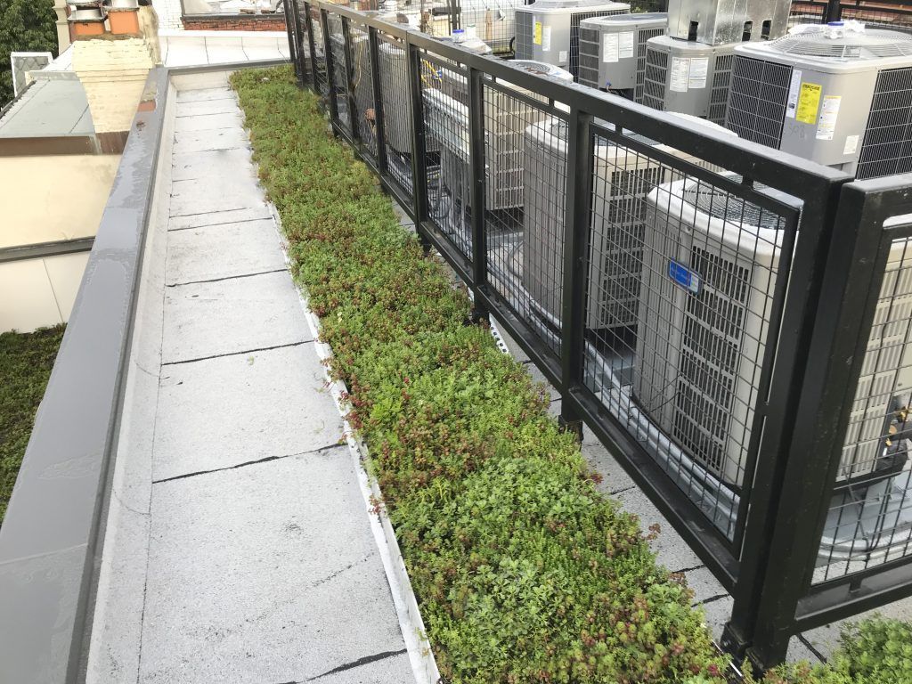Green rooftop garden with black metal fence and air conditioning units.