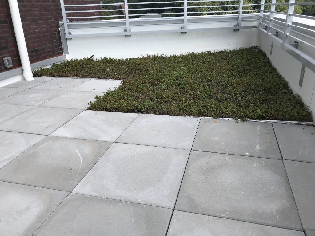Patio with gray square tiles and a section of green plants against a white wall with a metal railing.