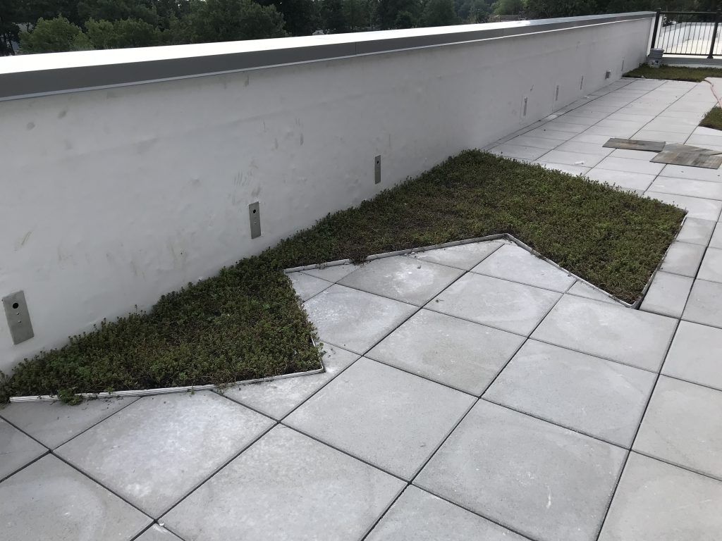Raised concrete patio with angled green ground cover against a white wall.