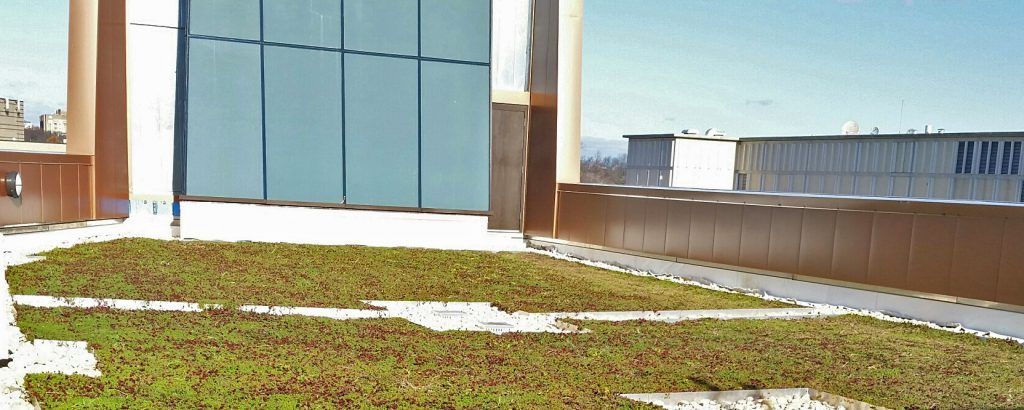 Green roof on a building with large glass windows. Brown building with blue sky background.