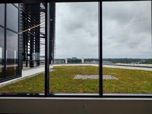 View through a window of a green roof on a building; cloudy sky in the background.