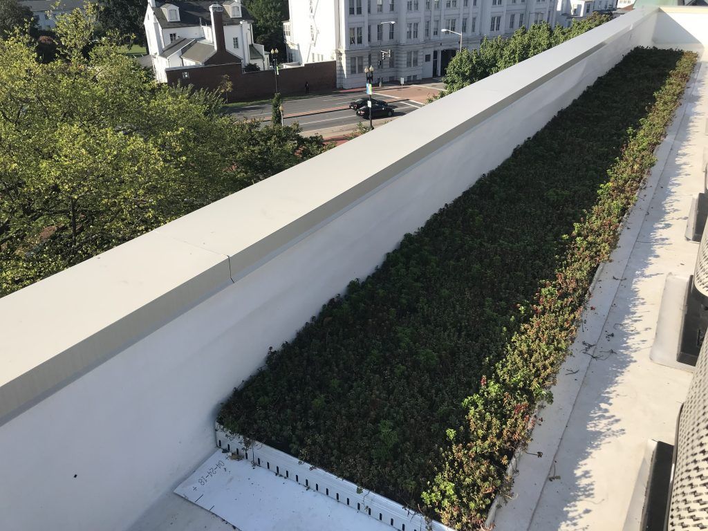 Green roof on a white building, surrounded by other buildings and trees.
