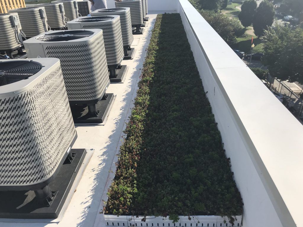 Rooftop with HVAC units and a strip of green plants along a white wall, sunny day.