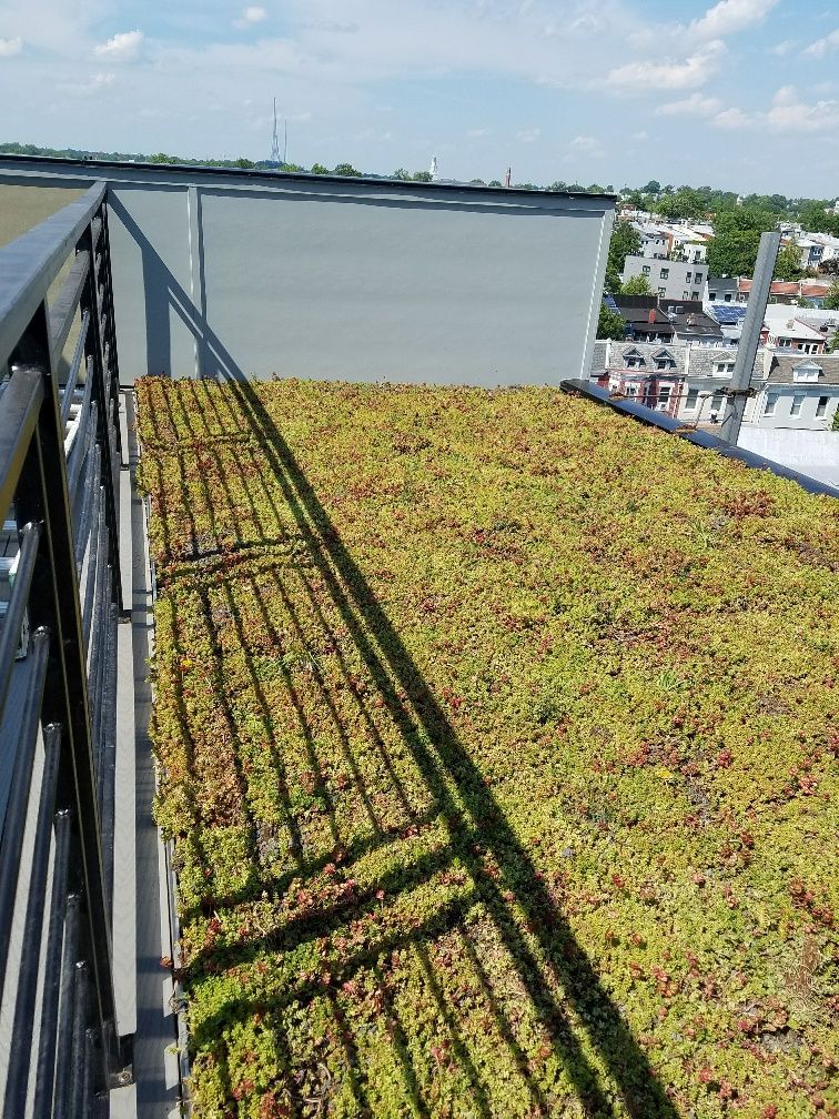 Green roof on building, surrounded by railings. Sunny day.