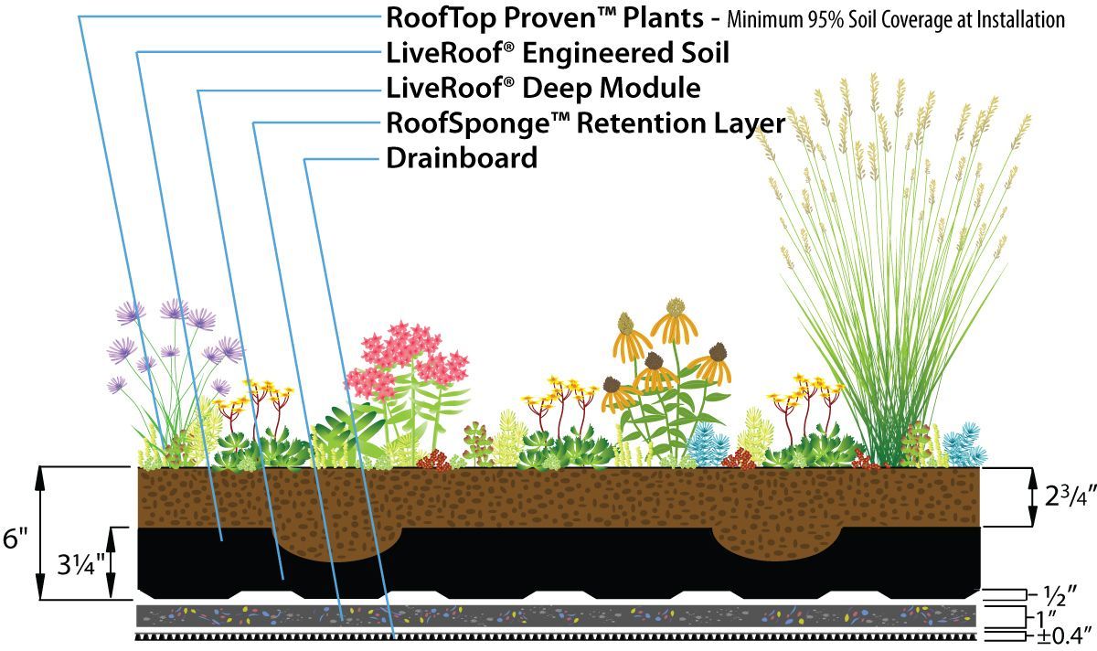 Diagram of a green roof cross-section with layers of plants, soil, and drainage components.