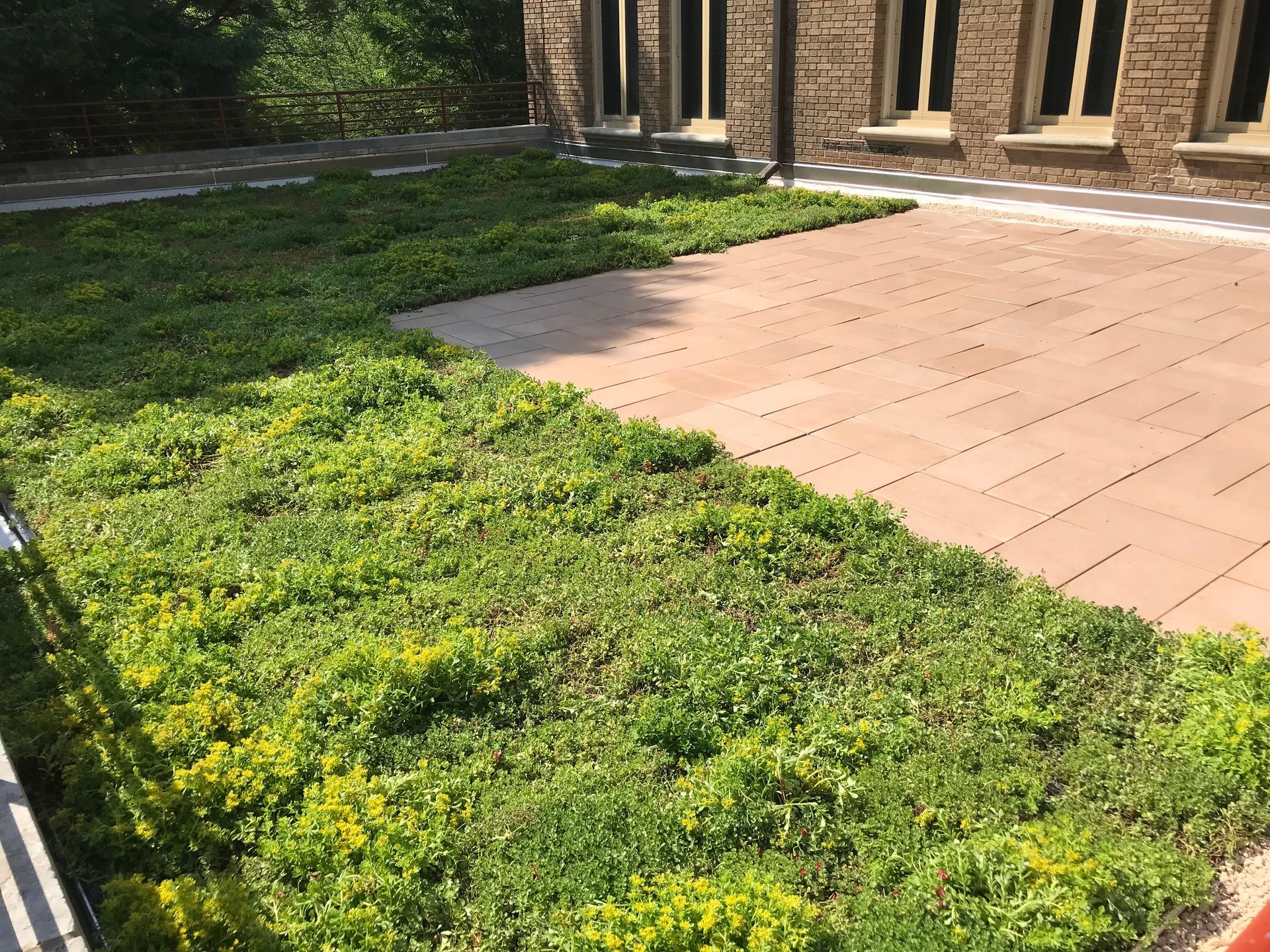 Green rooftop garden next to a brick building and a red-tiled patio.