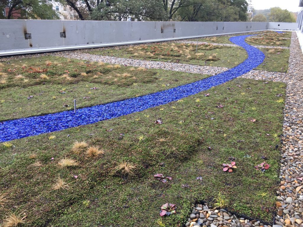 Green roof with a blue glass river feature.