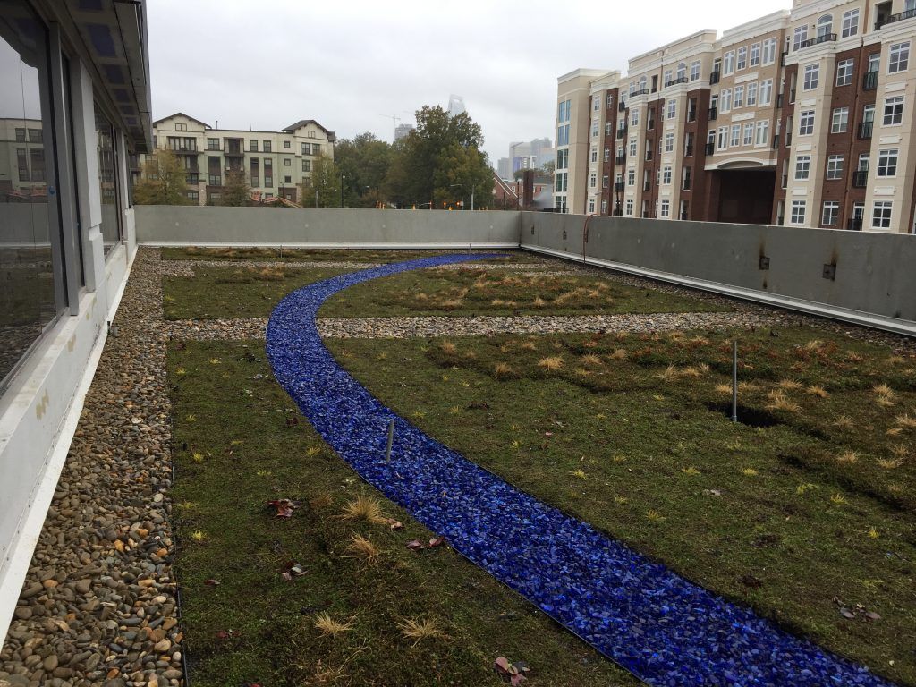 Rooftop garden with green plants and a blue glass pathway, surrounded by buildings on a cloudy day.
