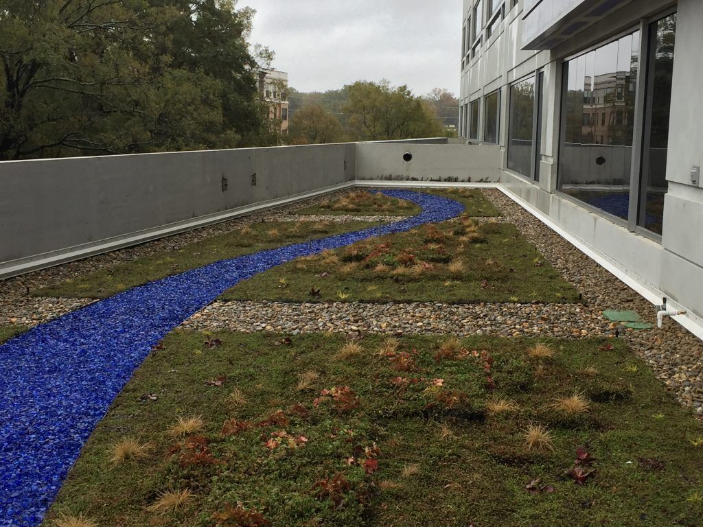 Rooftop garden with a blue glass 