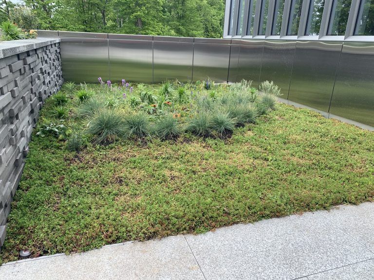 Green roof with various plants, a low wall of gray stone, and a metal backdrop.