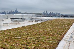 Green roof on building with a city skyline in the background. Overcast sky.