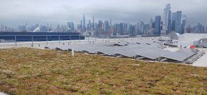 Green rooftop with a city skyline backdrop, featuring a modern building with solar panels.