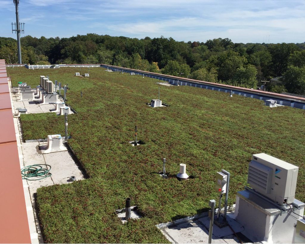 Green roof on a building, with equipment and trees in the background under a blue sky.