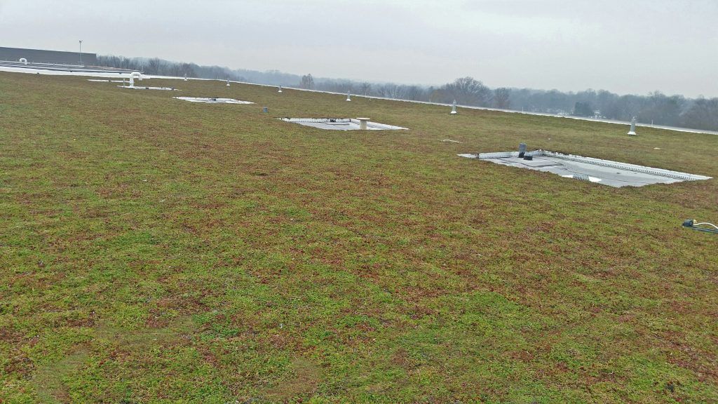 Green rooftop with vegetation, patches of silver material, and a cloudy sky.