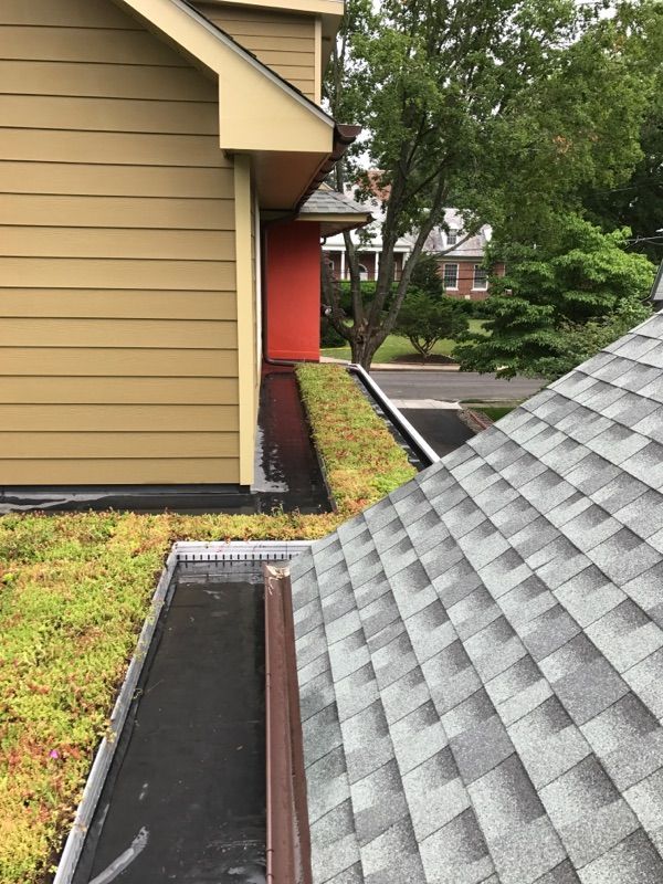 Green roof with vegetation, brown building, and gray shingle roof.
