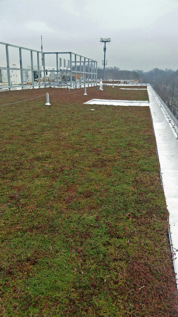 Green roof on a building, with a protective barrier and communication tower in the background.