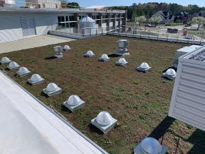Green roof with skylights and vents on a commercial building on a sunny day.