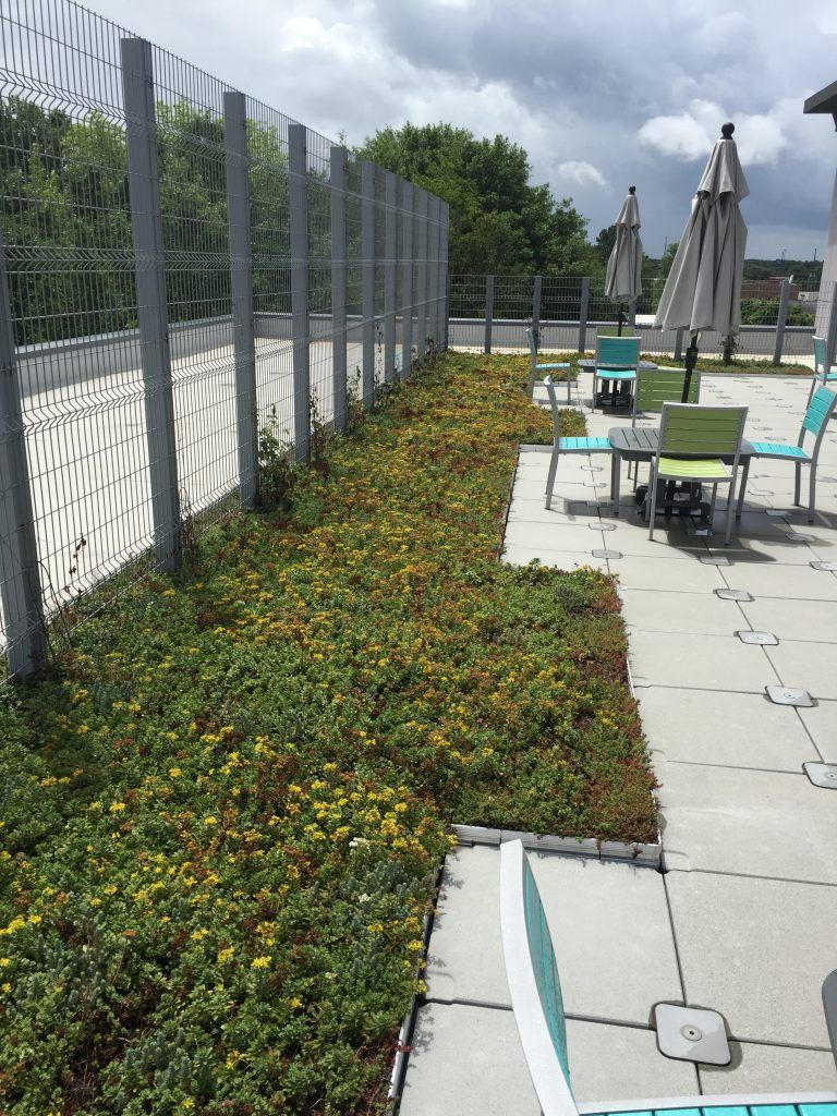 Rooftop garden with green plants along a metal fence, next to a seating area with tables and chairs.