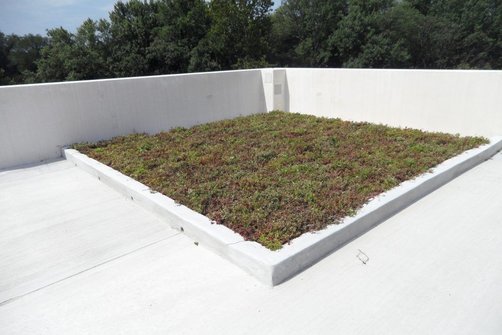 Square green roof section on a white rooftop, framed by white walls, with trees in the background.