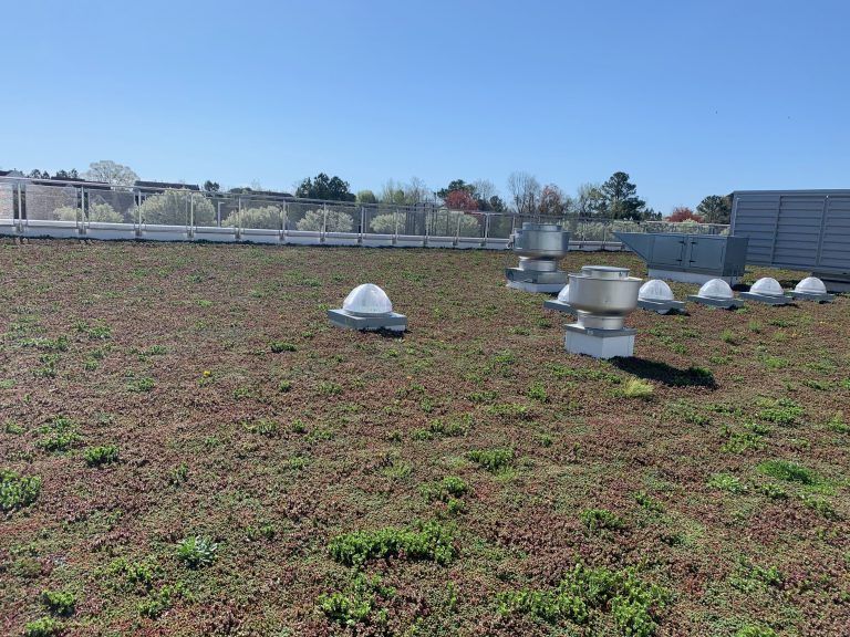 Green roof with vents and skylights against a clear blue sky.