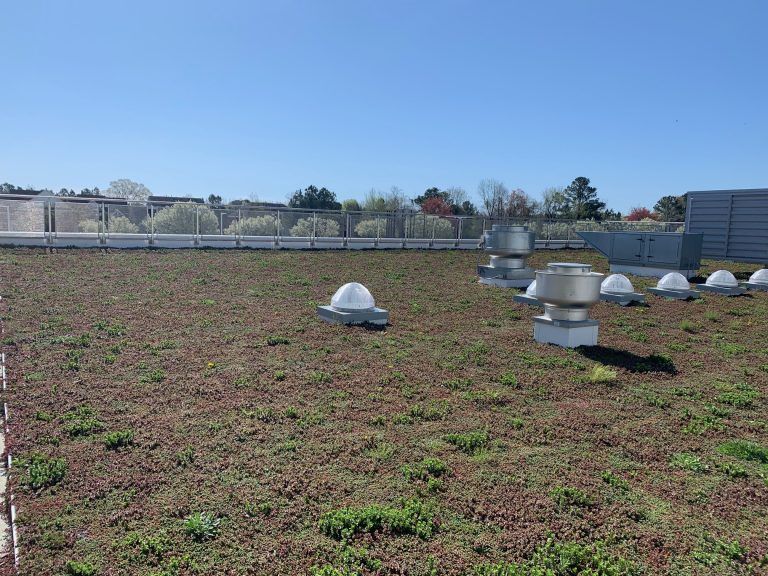 Green rooftop with vents and clear sky, overlooking a fence and trees.