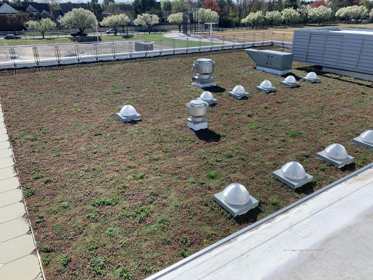 Green roof with vegetation, vents, and skylights. Overlooks a park area on a sunny day.