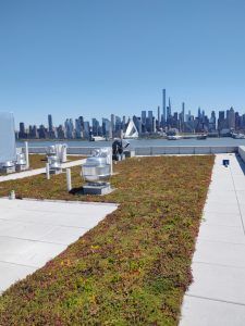 Green roof with HVAC units, overlooking a city skyline and water. Sunny day, clear sky.