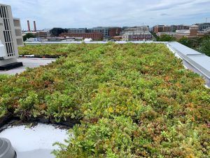 Green roof on a building with plants, surrounded by a city.