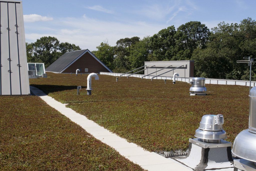 Green roof with a path, vents, and a building in the background under a blue sky.