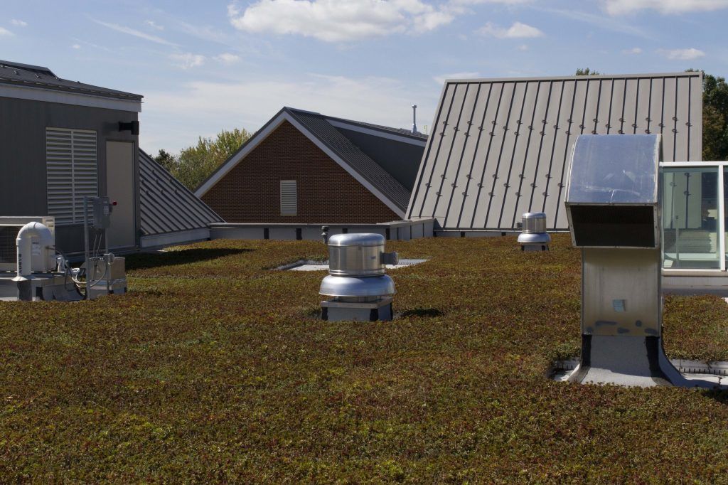 Green roof with metal vents and various rooflines under a blue sky.