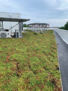 Green roof on a building with solar panels and HVAC units. Overcast sky.