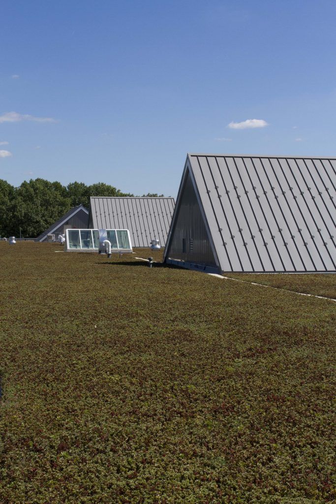 Green roof with angled metal roofs and sky lights, under blue sky.