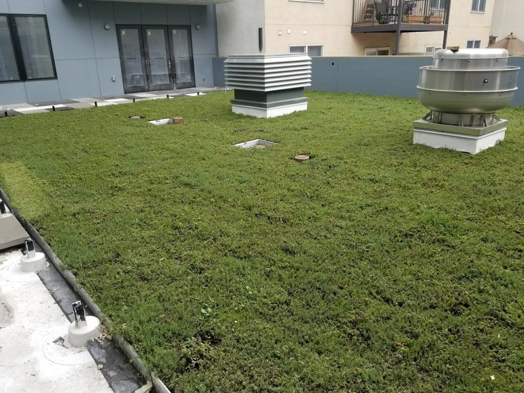 Green roof on a building with two ventilation units.