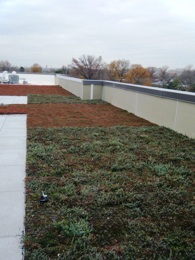 Green roof with vegetation, surrounded by a gray and beige building facade, under an overcast sky.
