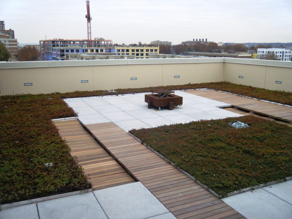 Rooftop garden with wooden walkways, green plants, and a fire pit. Buildings and a crane in the background.