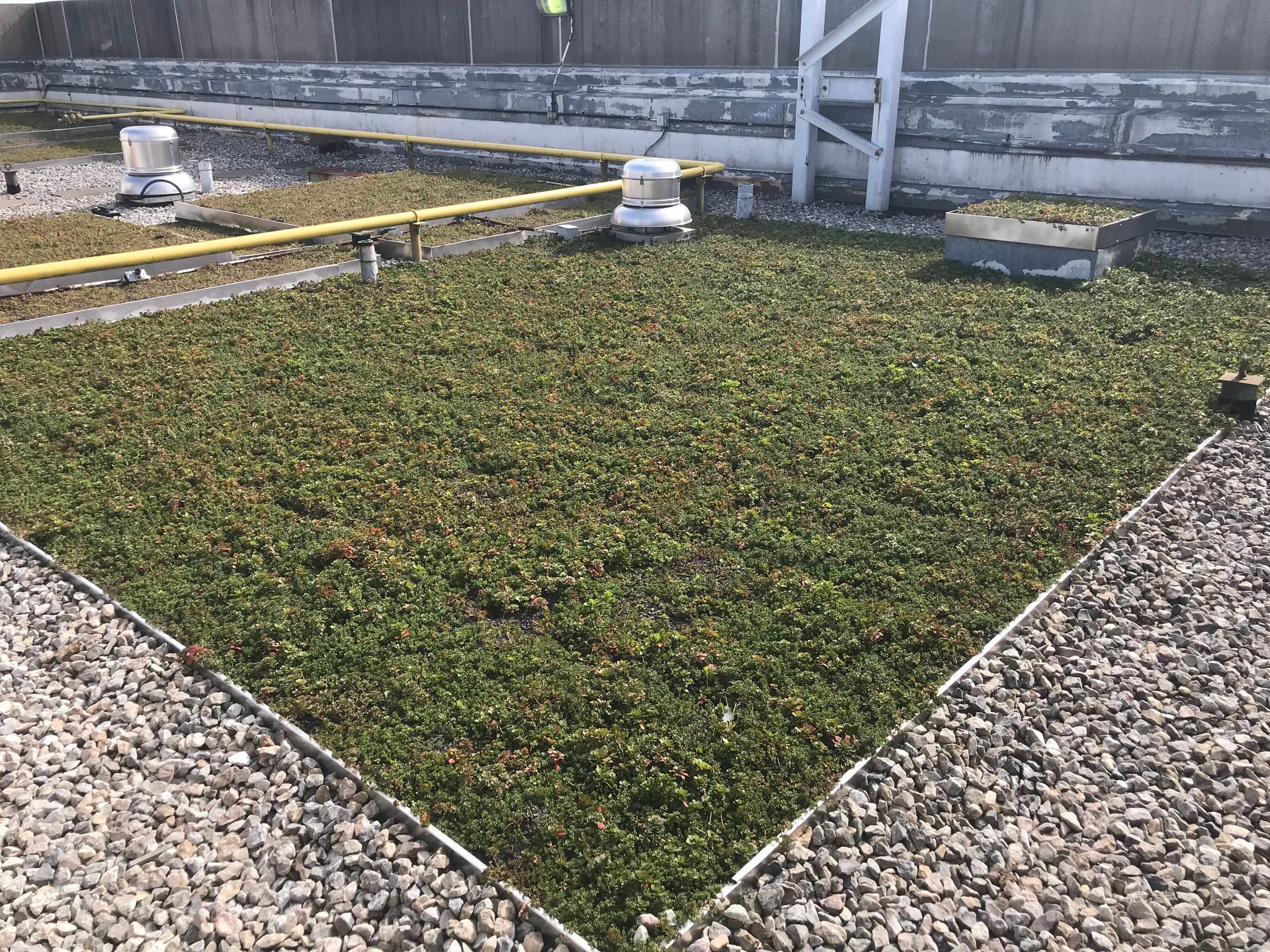Green roof section with gravel border on a rooftop.