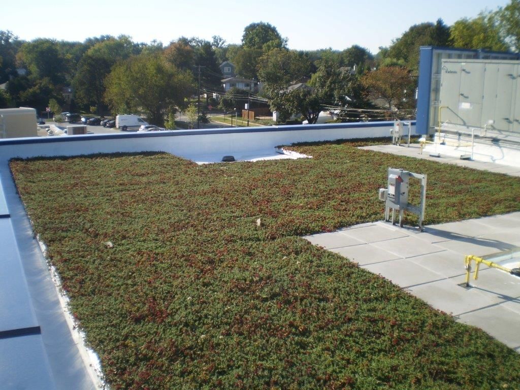 Green roof on a building with plants and equipment, under a blue sky.