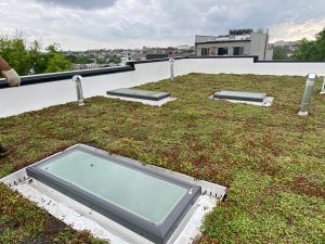 Green rooftop with skylights, surrounded by white walls and chimneys; city backdrop.