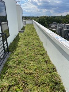 Green roof with lush vegetation on a modern building's rooftop terrace, overlooking a cityscape.