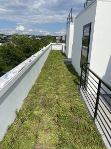 Green roof on a white building, with a black railing and blue sky visible.