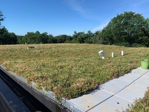 Green roof on a building, with a forest in the background on a sunny day.