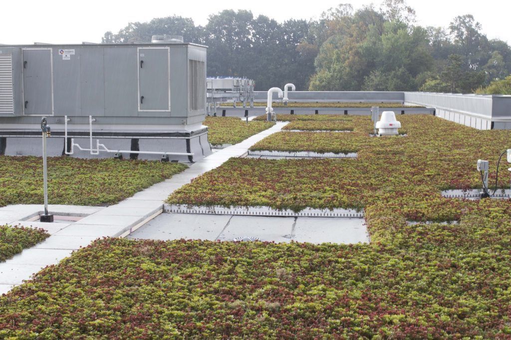 Green roof with vegetation, walkways, and HVAC units against a tree-lined background.