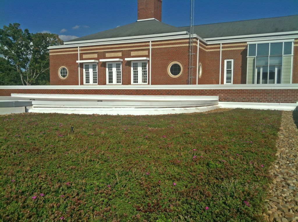 Green roof on a brick building, with windows and a chimney, under a blue sky.