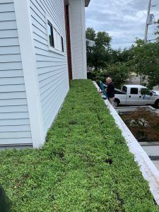 Green roof along a building, trimmed by a person with a hedge trimmer. White siding and a parked truck.