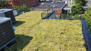 Green roof on a building with air conditioning units and a black railing.