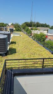 Green roof with air conditioning units, surrounded by a black metal railing, against a clear sky.